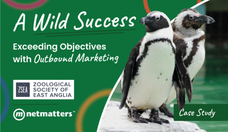 A Wild Success - ZSEA - Digital Case Study