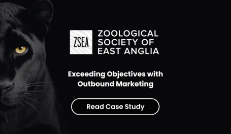 A Wild Success - ZSEA - Digital Case Study
