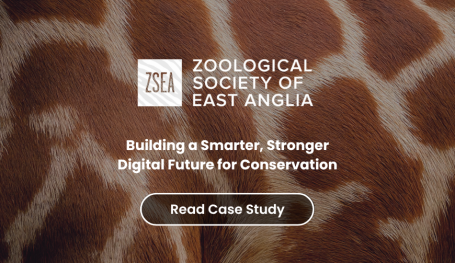 ZSEA IT Support Case Study Netmatters