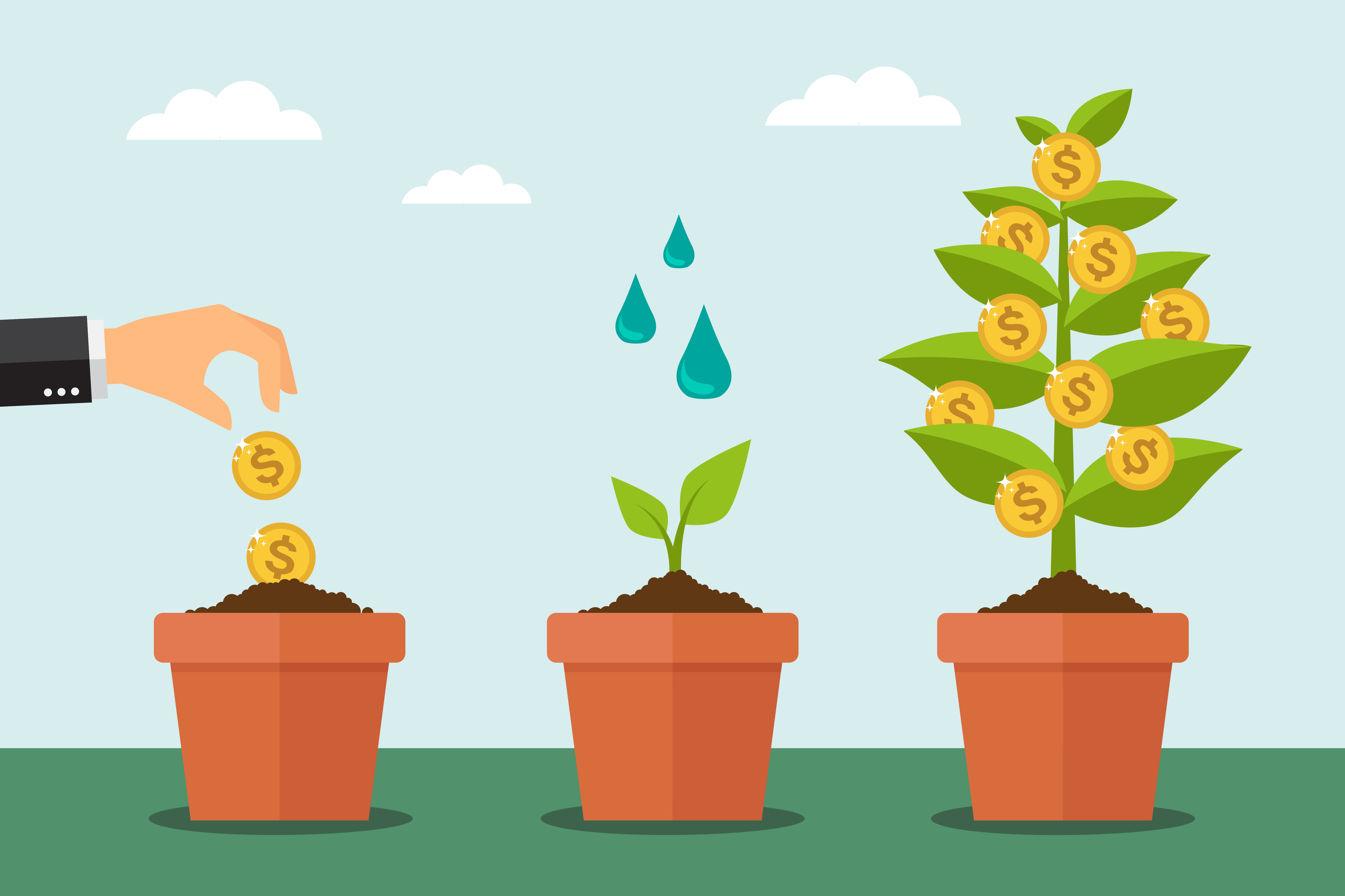 Money Plants Money Plants