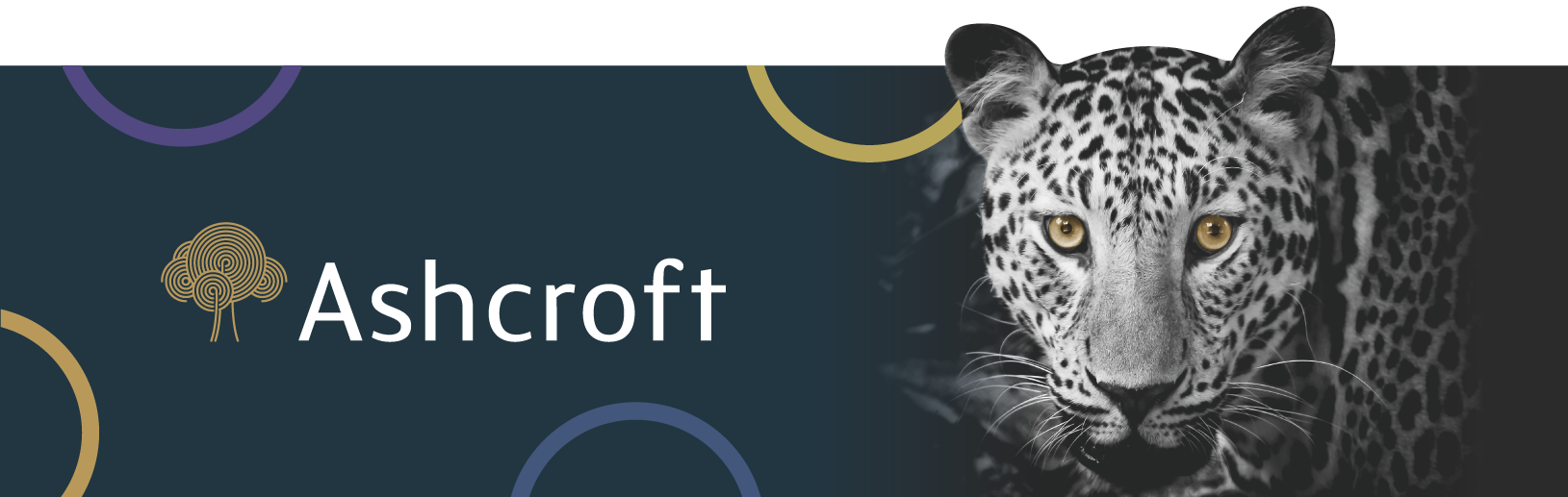 Ashcroft Partnership Website to Match Brand Identity 