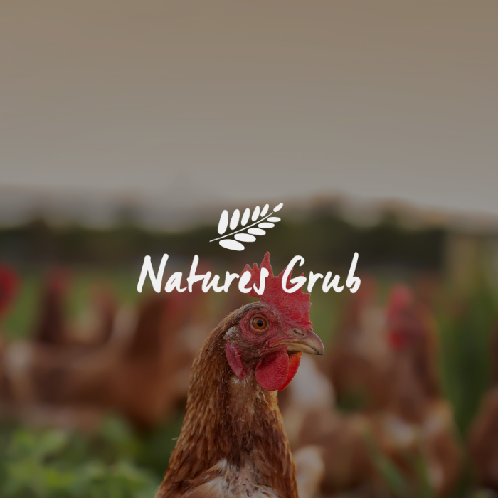 Social media marketing hW2J